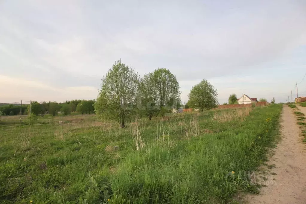 Участок в Вологодская область, Шекснинский район, Ершовское с/пос, д. ... - Фото 1