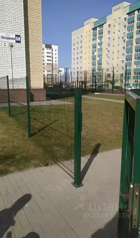 2-к кв. Алтайский край, Барнаул Лазурная ул., 58 (64.0 м) - Фото 1