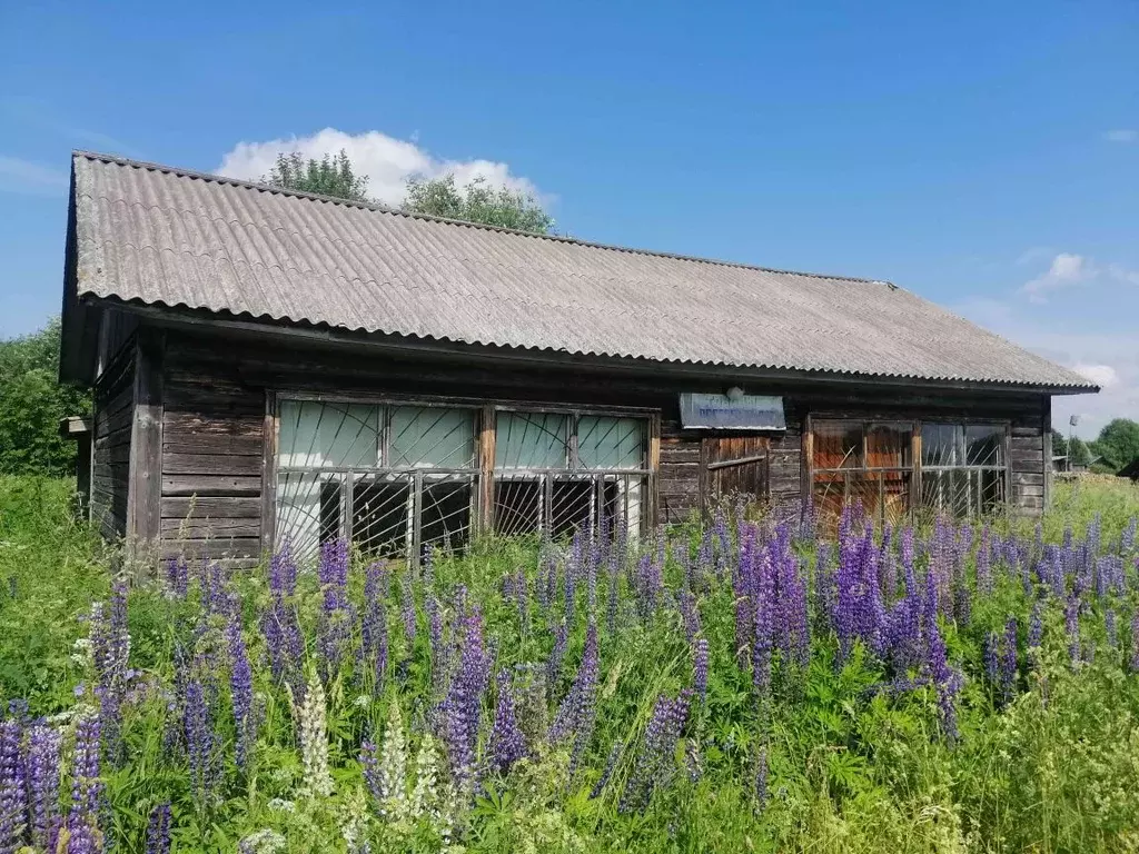 Купить дом Борисово-Судское, Бабаевский район, продажа домов  Борисово-Судское, Бабаевский район в черте города на AFY.ru