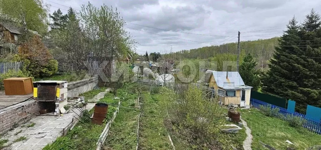 Дом в Новосибирская область, Новосибирский район, Раздольненский ... - Фото 1