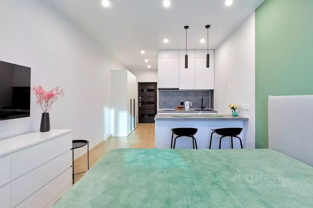 Студия Краснодарский край, Сочи Бытха мкр, ул. Ясногорская, 16/6к4 ... - Фото 2