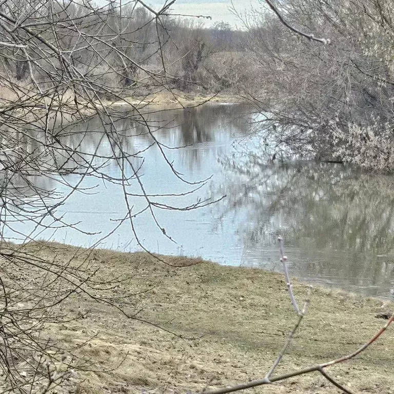 Участок в Московская область, Богородский городской округ, с. ... - Фото 2