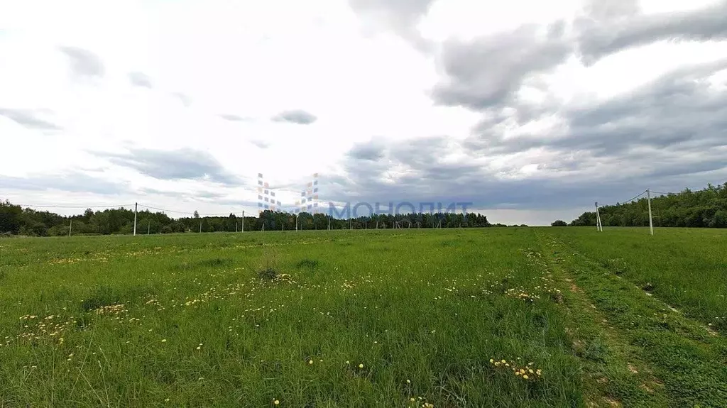Участок в Нижегородская область, Дальнеконстантиновский муниципальный ... - Фото 0