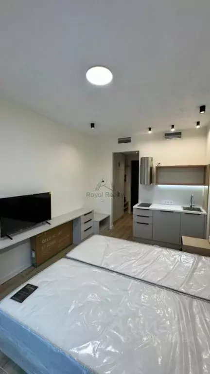 Студия Санкт-Петербург наб. Макарова, 58 (23.0 м) - Фото 0