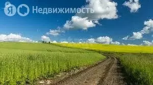 Участок в Новосибирск (196000 м) - Фото 1