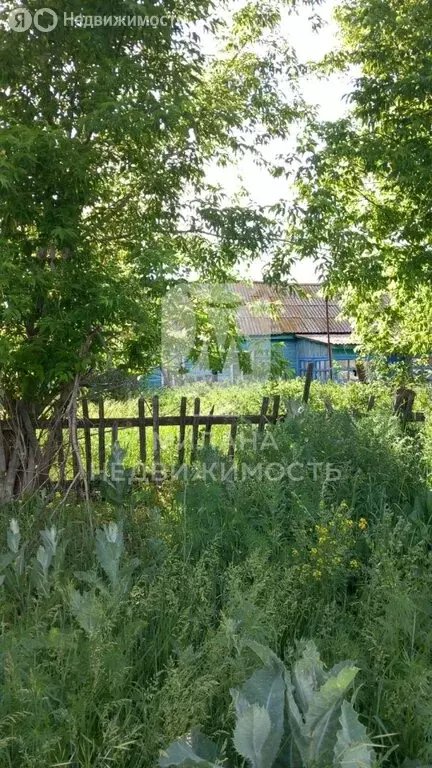 Дом в село Белоусовка, Фельдшерская улица, 137 (31.7 м) - Фото 0