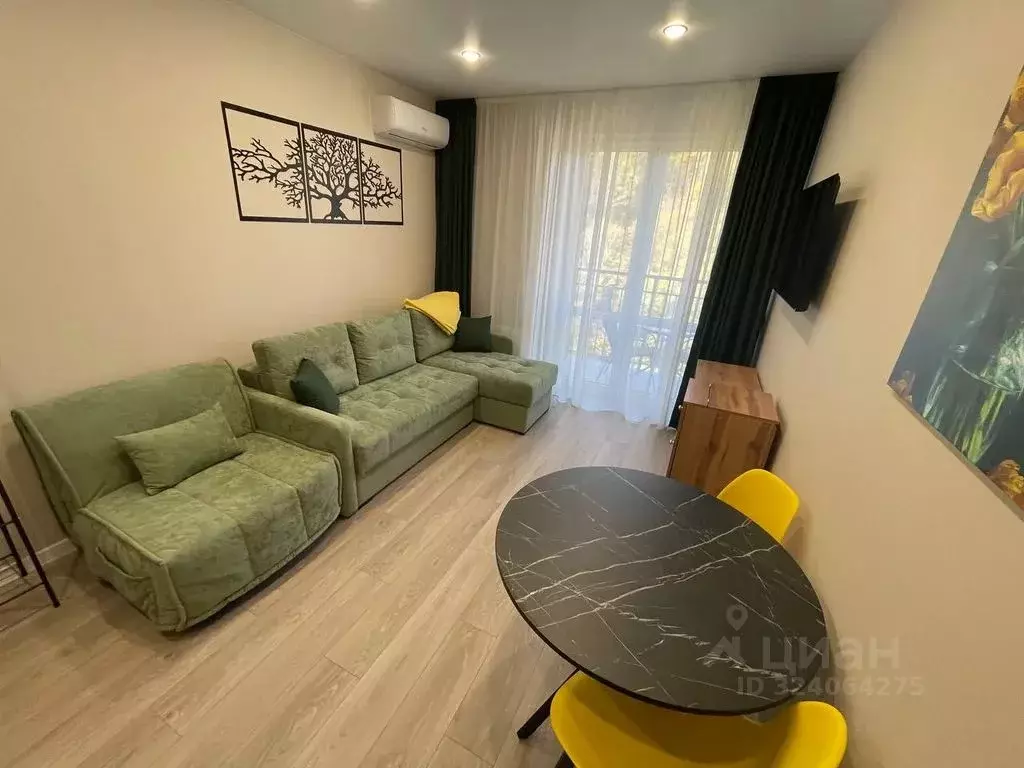 Студия Краснодарский край, Сочи ул. Искры, 88к8 (31.0 м) - Фото 1