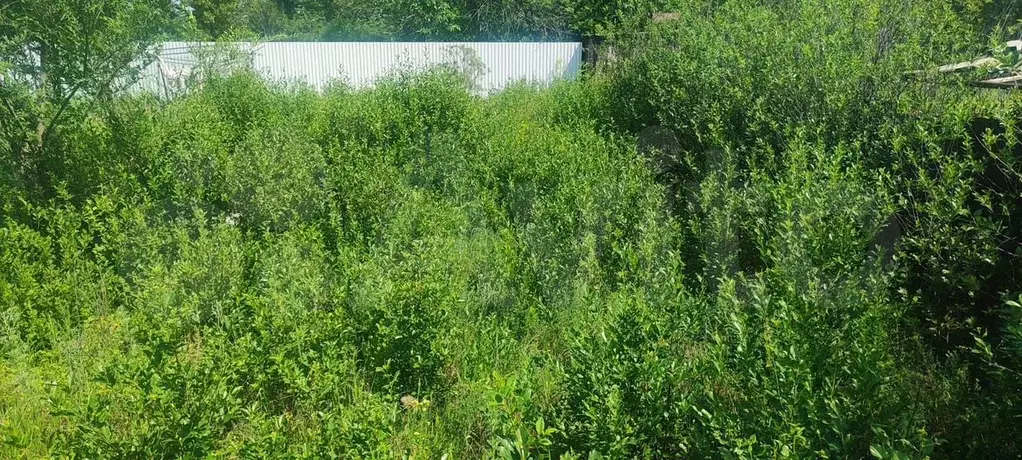 Участок 6,5 сот. (СНТ, ДНП) - Фото 0