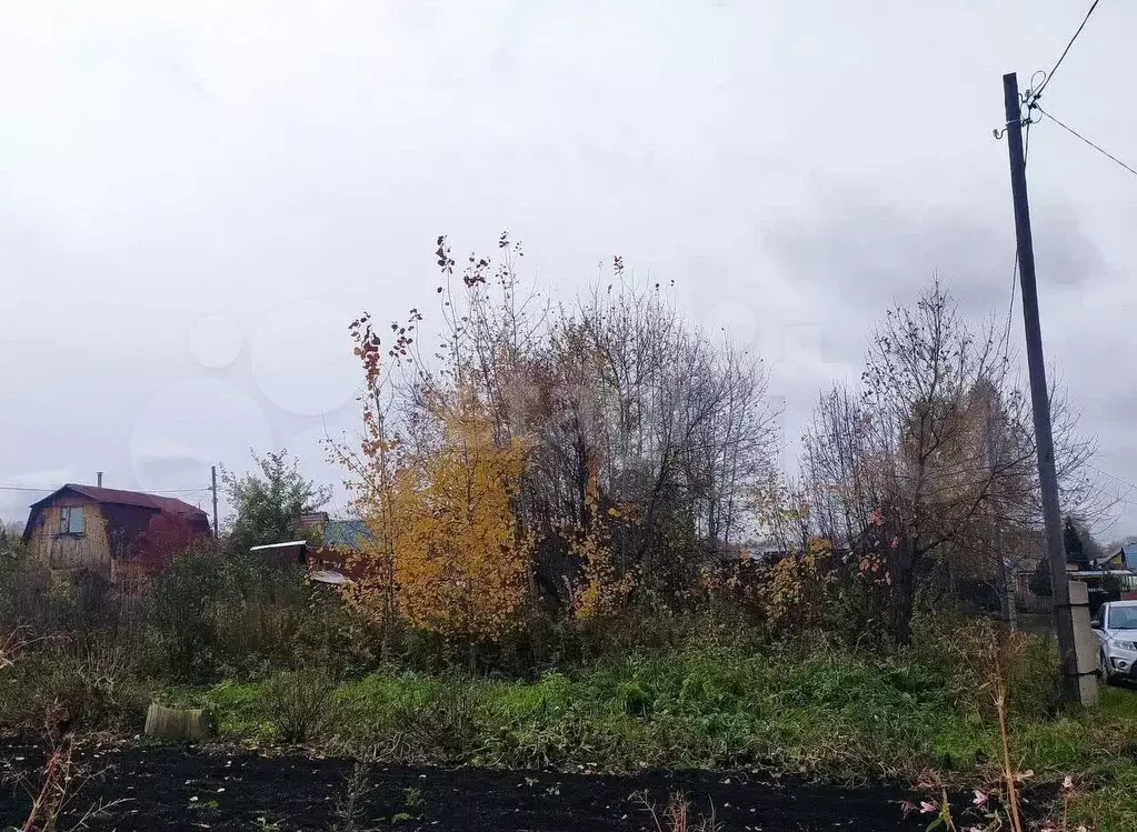 Участок 6 сот. (СНТ, ДНП) - Фото 0