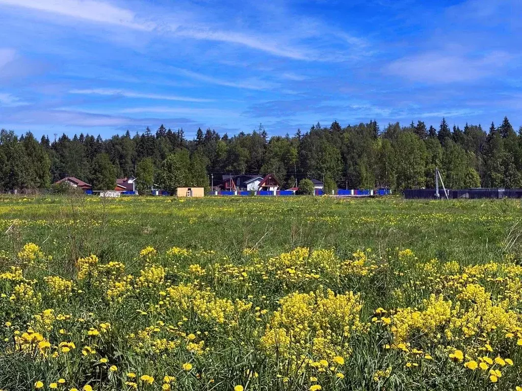 Участок в Московская область, Клин городской округ, Коськово кп 125 ... - Фото 1