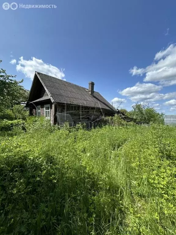 Дом в Аннинское городское поселение, деревня Капорское, 14А (29.6 м) - Фото 1