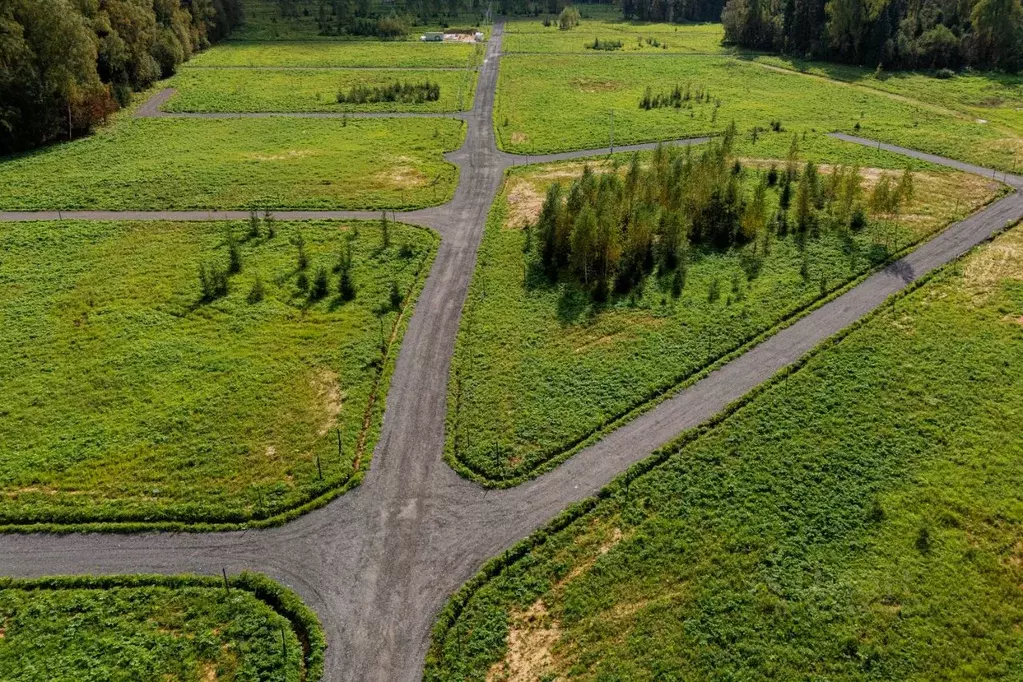 Участок в Московская область, Солнечногорск городской округ, д. ... - Фото 2