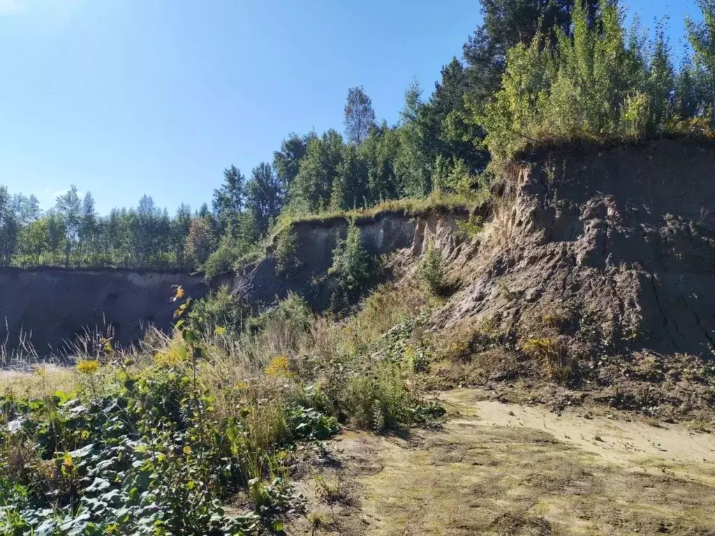 Участок в Ленинградская область, Всеволожский район, Колтушское ... - Фото 2