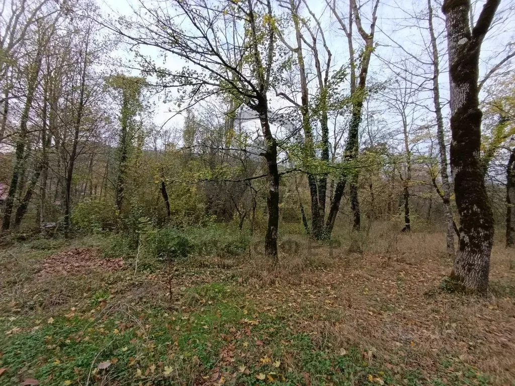 Участок в Краснодарский край, Туапсинский муниципальный округ, ... - Фото 1