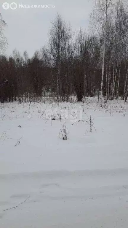 Участок в Нижегородская область, Кстовский муниципальный округ, село ... - Фото 0