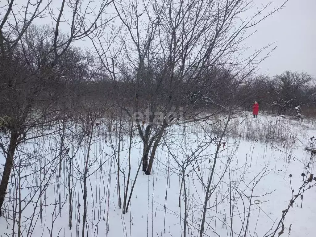 Участок в Белгородская область, Губкин Журавушка СТ,  (6.0 сот.) - Фото 0