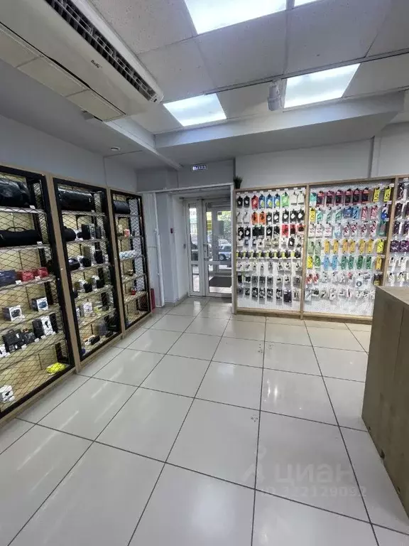 Торговая площадь в Томская область, Томск просп. Ленина, 166 (270 м) - Фото 2