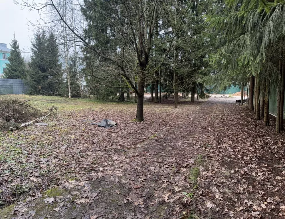 Участок в Московская область, Одинцовский городской округ, ... - Фото 1