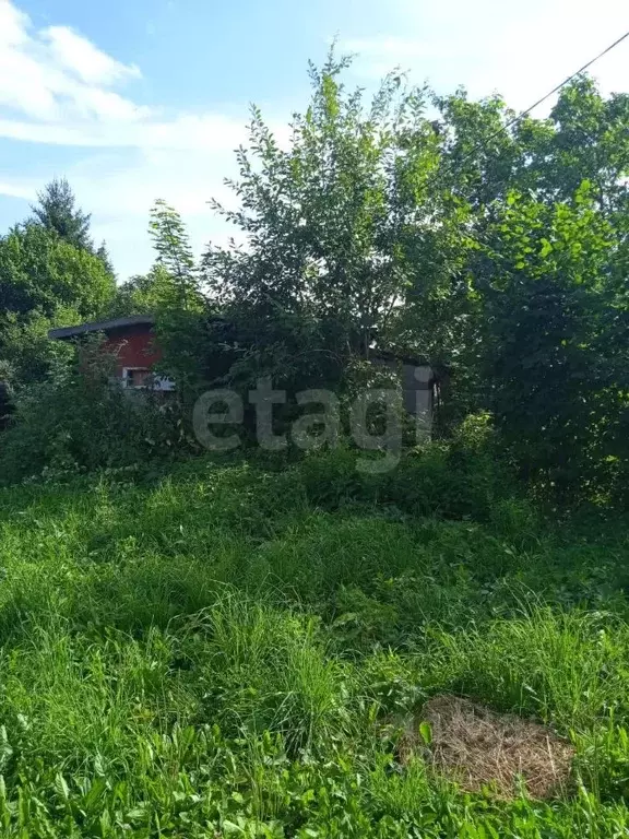 Участок в Вологодская область, Анциферово садоводческое товарищество ... - Фото 1