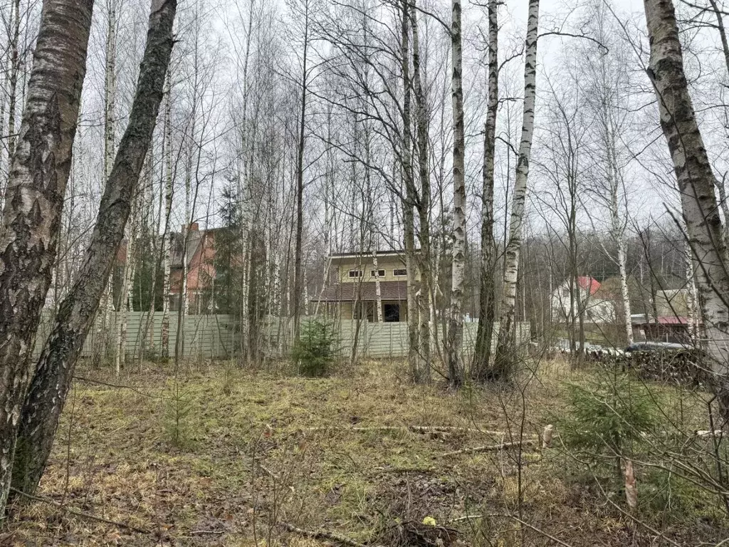 Участок в Московская область, Чехов муниципальный округ, д. Поповка ... - Фото 2