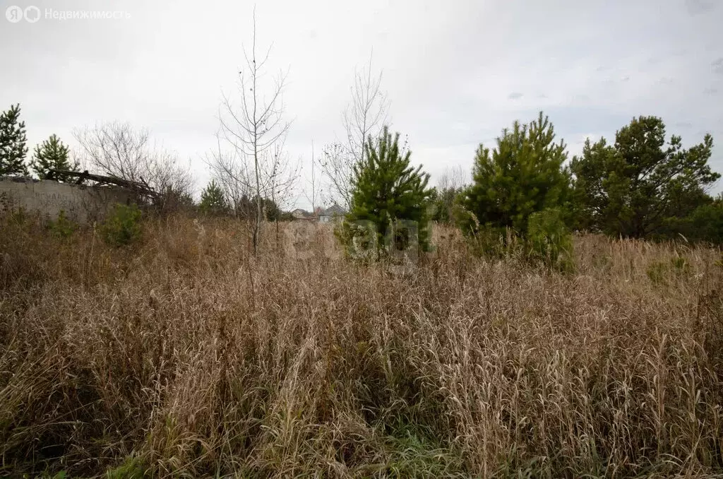 Участок в Заводоуковск, СНТ Колос (7.09 м) - Фото 2