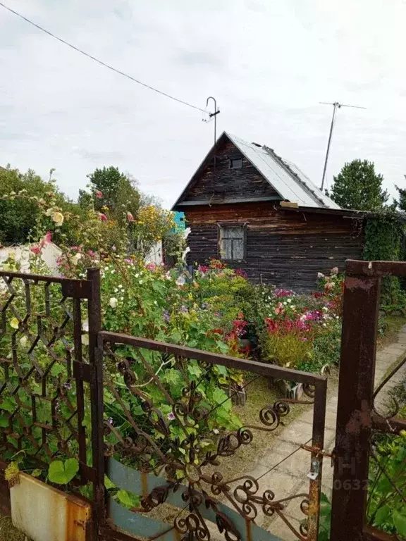 Дом в Тюменская область, Тюмень Якорь садовое товарищество, ул. ... - Фото 2
