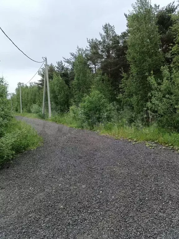 Участок 10 сот. (СНТ, ДНП) - Фото 0