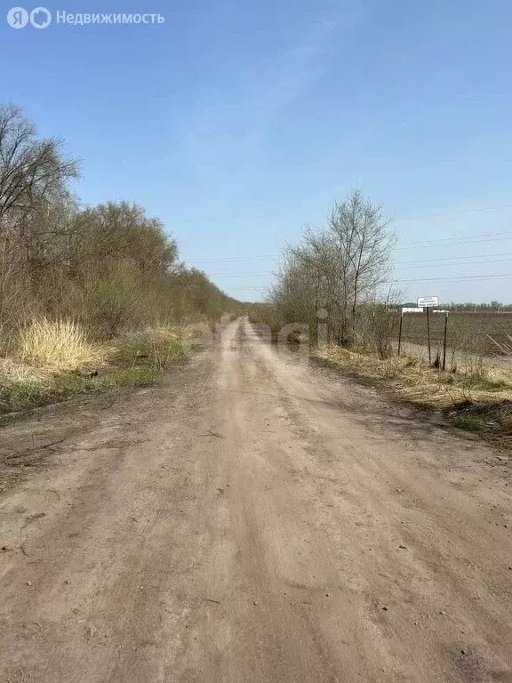 Участок в село Новая Усмань, микрорайон Новая Радуга (10.5 м) - Фото 0