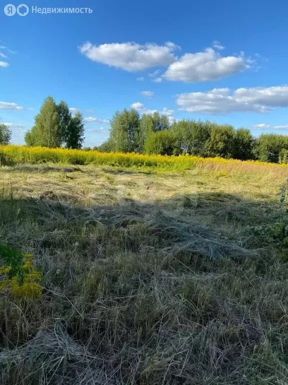 Участок в Тульская область, городской округ Тула, деревня Юрьево (30 ... - Фото 0