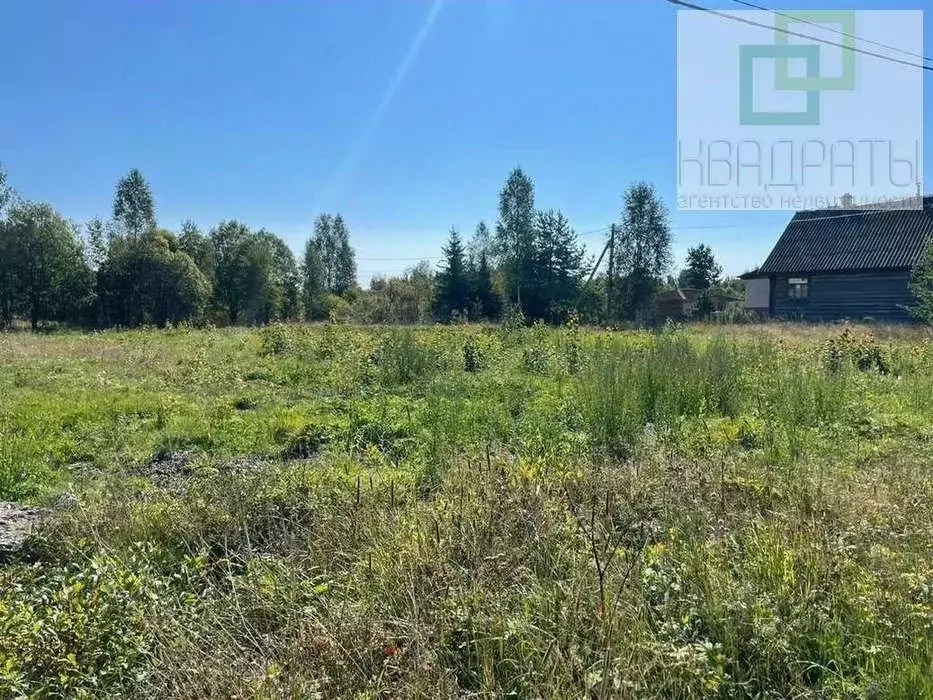 Участок в Ленинградская область, Лужский район, пос. Мшинская  (14.0 ... - Фото 1