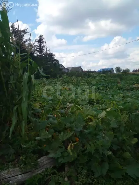 Дом в Старое Ибрайкино, улица Красный Родник (39 м) - Фото 1