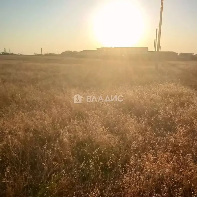 Участок в Крым, Сакский район, Молочненское с/пос, с. Витино ул. ... - Фото 1