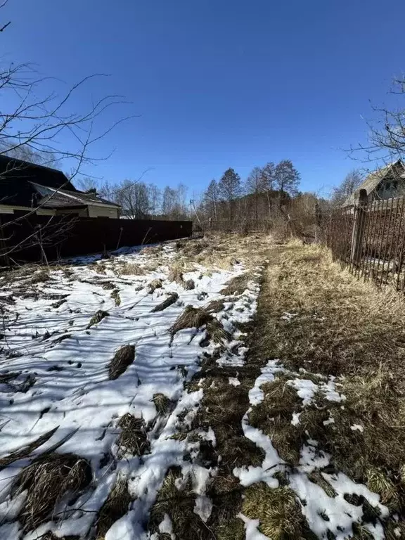 Участок в Брянская область, Брянский район, Нетьинское с/пос, ... - Фото 1
