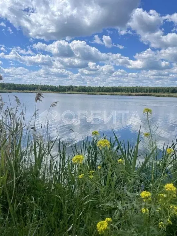 Участок в Тюменская область, Нижнетавдинский район, Лесная сказка СНТ  ... - Фото 0