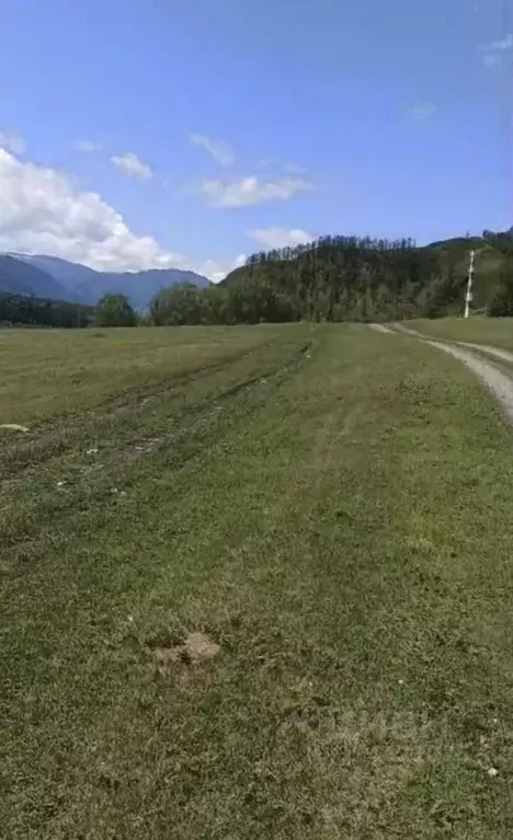 Участок в Алтай, Усть-Коксинский район, пос. Кучерла ул. Ленина (16.9 ... - Фото 2
