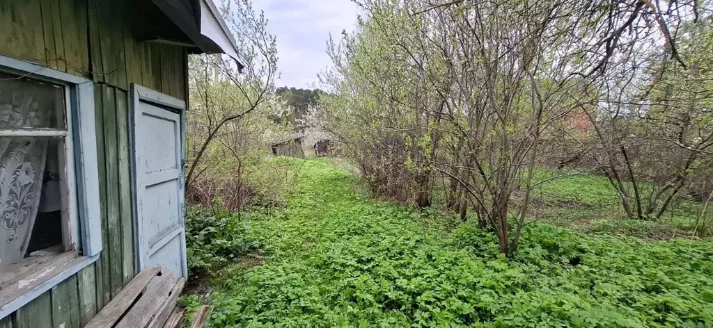Участок в Московская область, Щелково городской округ, Деревня Новая ... - Фото 1
