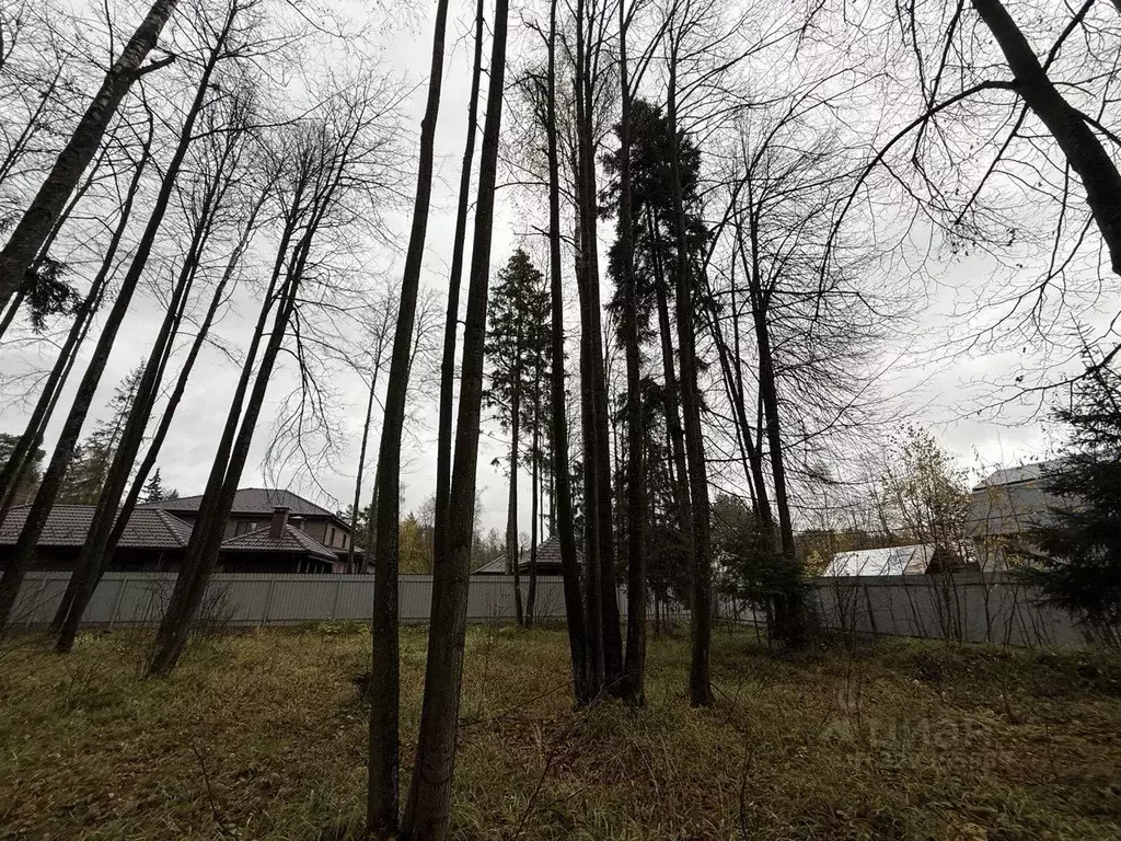 Участок в Московская область, Одинцовский городской округ, д. Сивково  ... - Фото 1