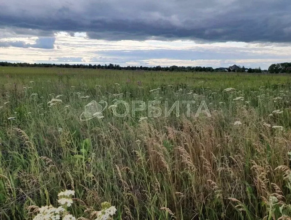 Участок в Тюменская область, Тюмень Поле Чудес садовое товарищество,  ... - Фото 0