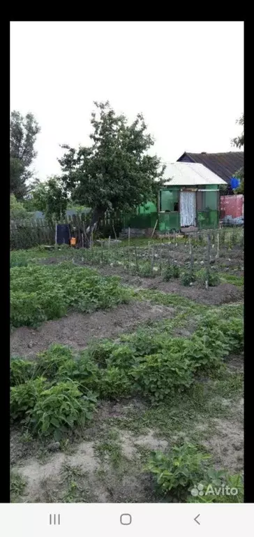 Дом в Владимирская область, Меленковский муниципальный округ, д. ... - Фото 2
