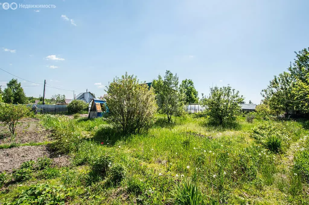 Участок в Тюменский муниципальный округ, садоводческое некоммерческое ... - Фото 2