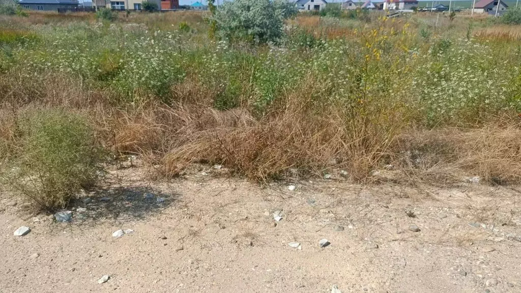 Участок в Краснодарский край, Анапа муниципальный округ, пос. ... - Фото 2