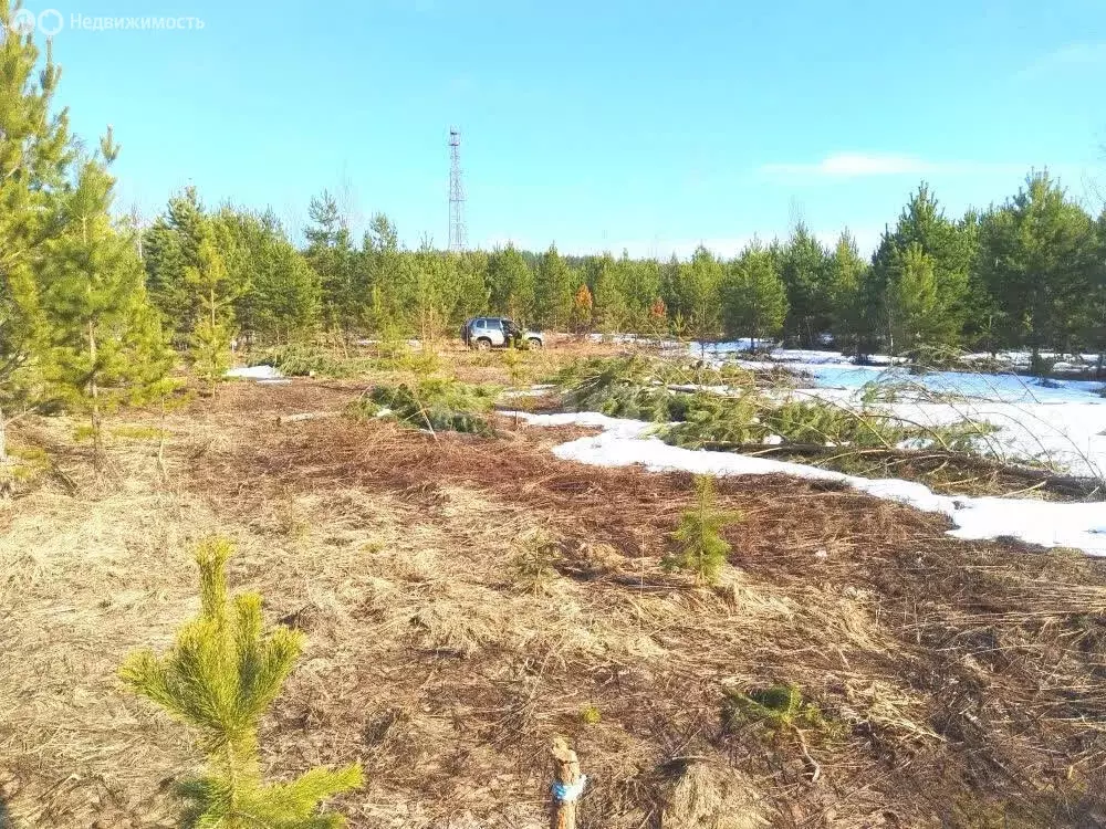 Участок в Завьяловский район, деревня Старые Кены, Ярская улица (7 м) - Фото 2