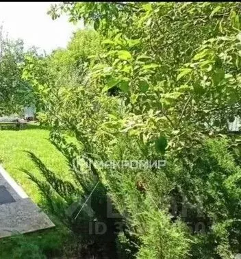 Участок в Татарстан, Казань Дружба НПО Нива Татарстана СНТ,  (5.8 ... - Фото 2