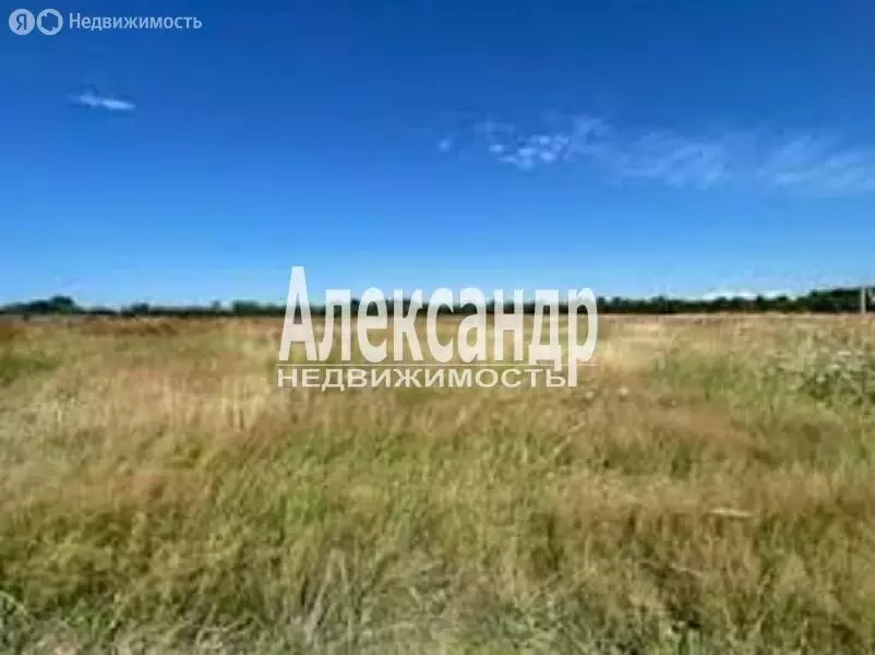 Участок в Волосовский район, Большеврудское сельское поселение, ... - Фото 1