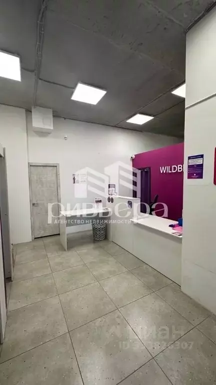 Офис в Новосибирская область, Новосибирск ул. Аэропорт, 49 (61 м) - Фото 1