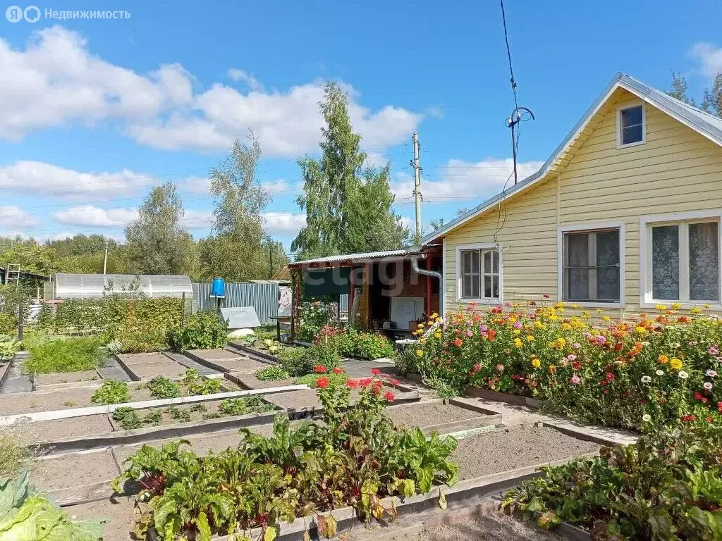 Дом в Орехово-Зуевский городской округ, СНТ Текстильщик-4 (20 м) - Фото 1