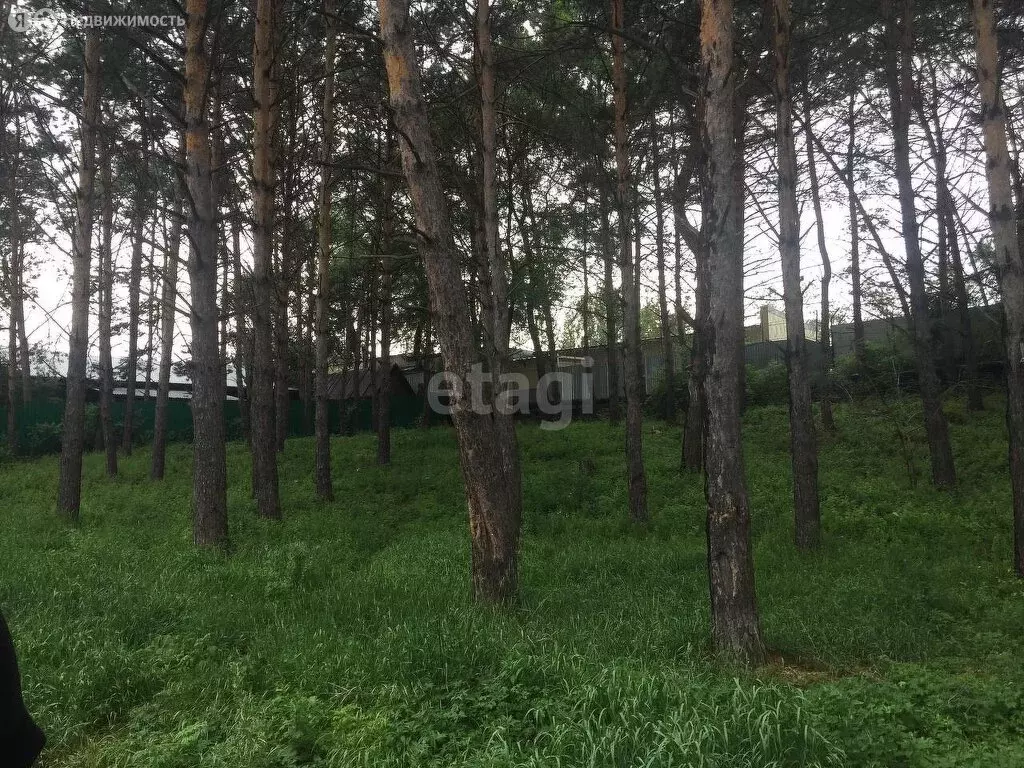 Участок в Амурская область, городской округ Благовещенск, посёлок ... - Фото 1
