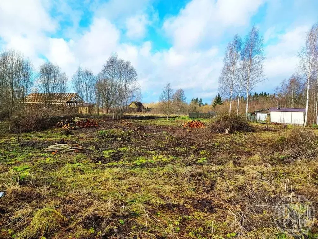 Участок в Ленинградская область, Лужский район, Заклинское с/пос, д. ... - Фото 1