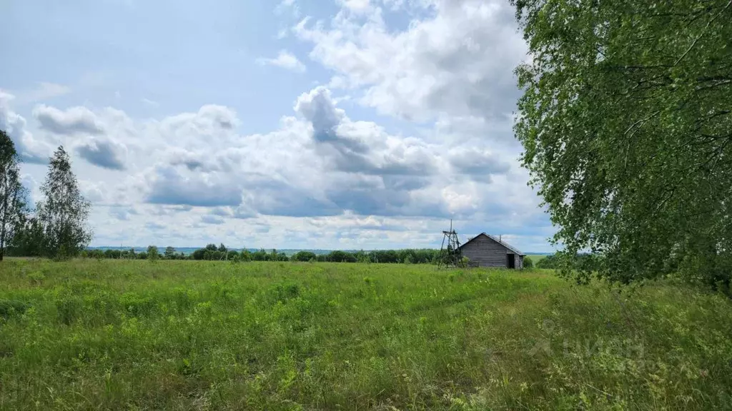 Участок в Тульская область, Киреевский район, Красноярское с/пос, д. ... - Фото 2