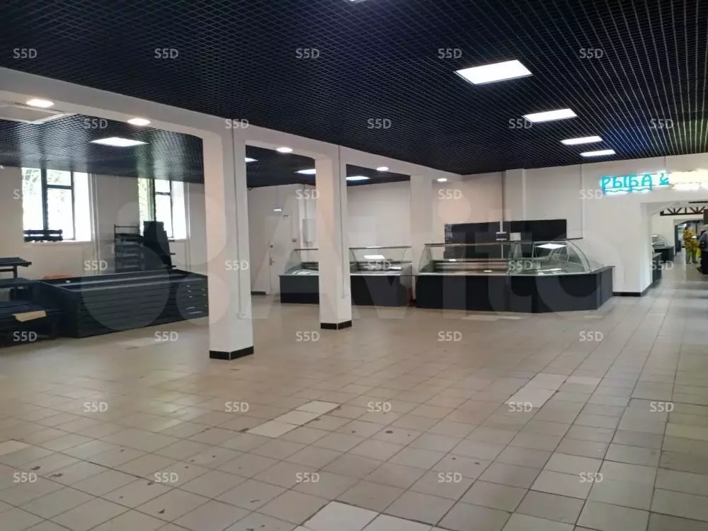 Сдам помещение свободного назначения, 100 м - Фото 1